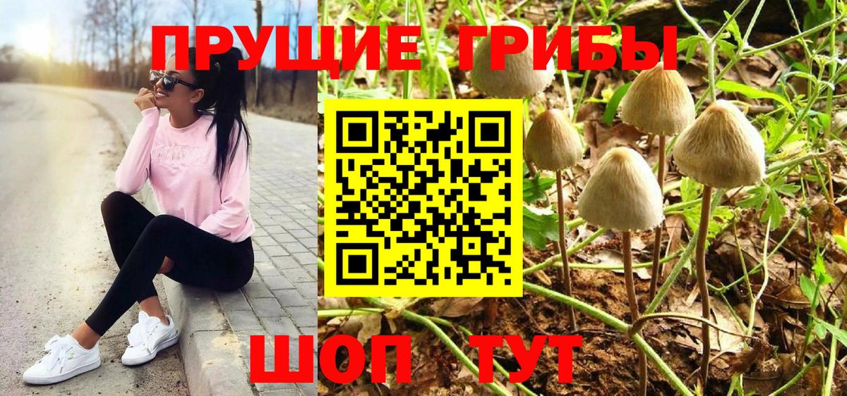 Псилоцибиновые грибы Magic Shrooms  Вход с VPN  Галлюциногенные грибы Psilocybine cubensis  Шелехов 